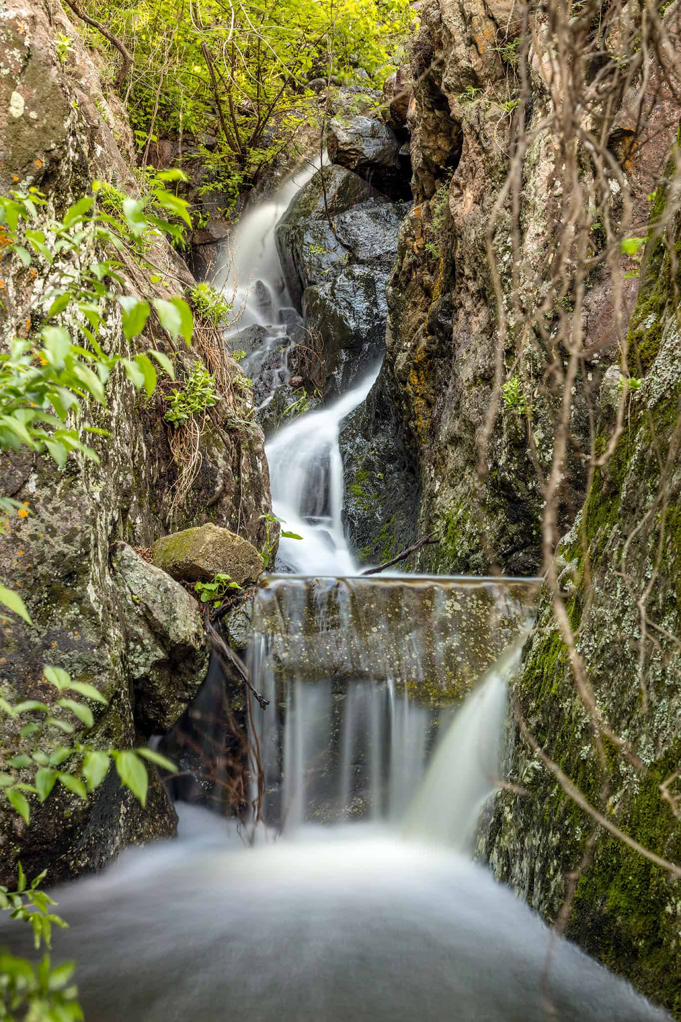 Primer plano de un tranquilo arroyo de montaña de San Miguel de Allende que cae en cascada entre rocas y exuberante vegetación.