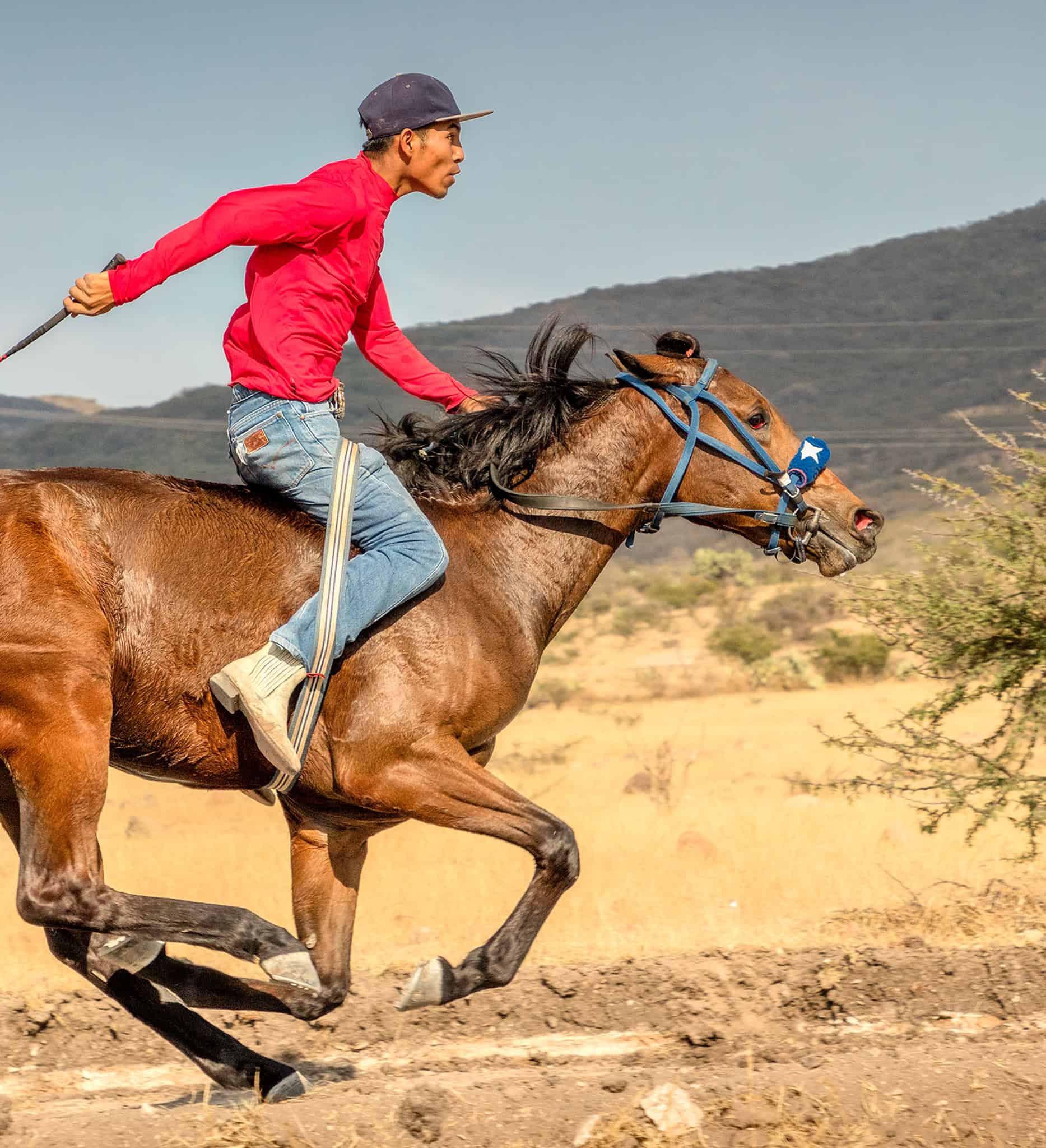 A man riding a horse demonstrating equestrian skills in the countryside of San Miguel de Allende. Active horse riding with rider in motion in the countryside of San Miguel de Allende.